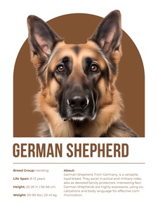 German Shepherd Informative Poster