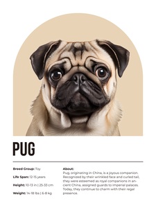 Pug Informative Poster