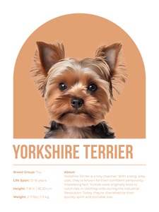 Yorkshire Terrier Informative Poster