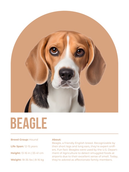Beagle Informative Poster by Windawn