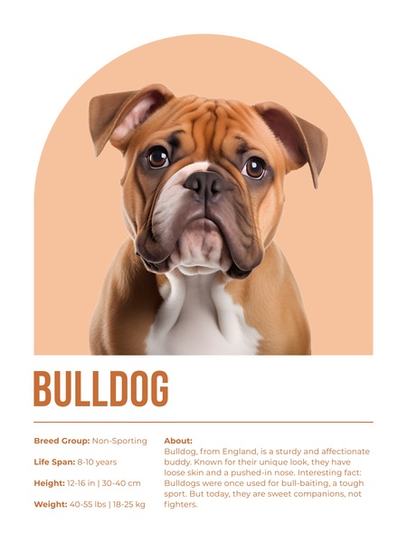 Bulldog Informative Poster Print