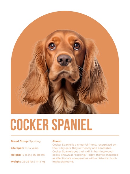 Cocker Spaniel Informative Poster Print
