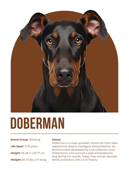 Doberman Informative Poster Print