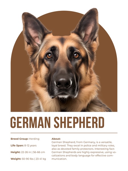 German Shepherd Informative Poster Print