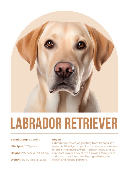 Labrador Retriever Informative Poster Print