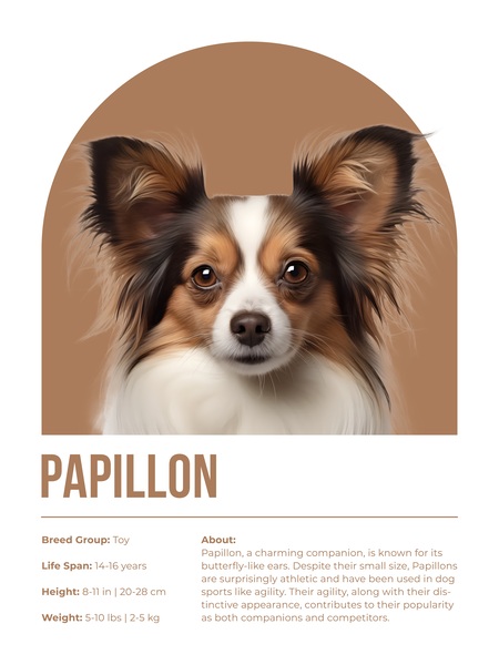 Papillon Informative Poster Print