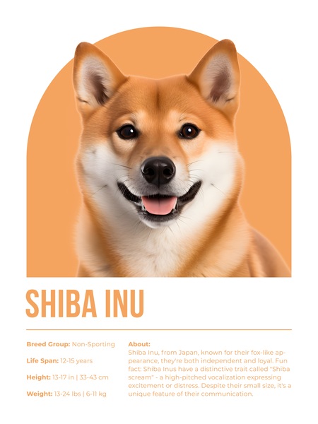 Shiba Inu Informative Poster Print