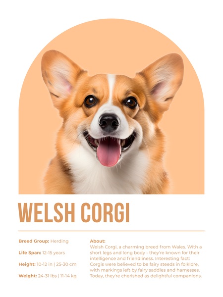 Welsh Corgi Informative Poster Print