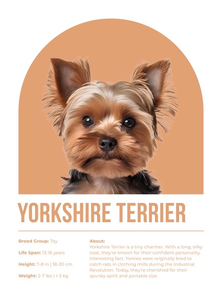 Yorkshire Terrier Informative Poster Print