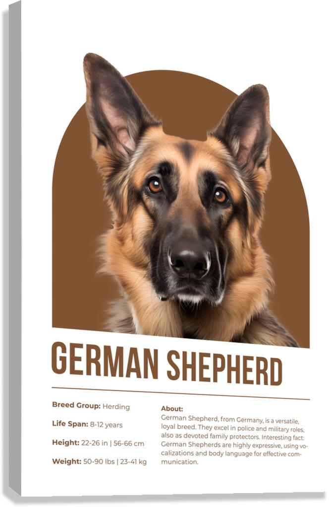 German Shepherd Informative Poster Canvas Print
