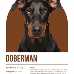 Doberman Informative Poster