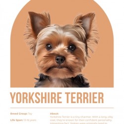 Yorkshire Terrier Informative Poster