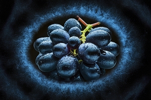 Black grapes with Water Drops on dark background