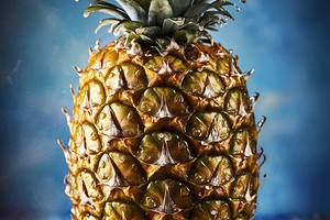 Ripe pineapple with water drops on blue backgroun