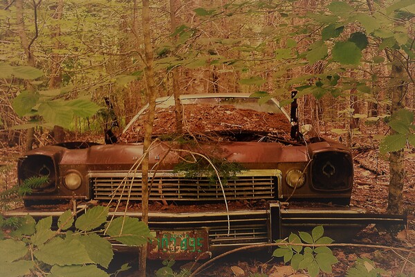 Urban decay by Lane Marcel Green
