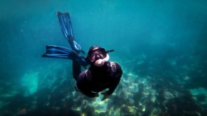 freedive