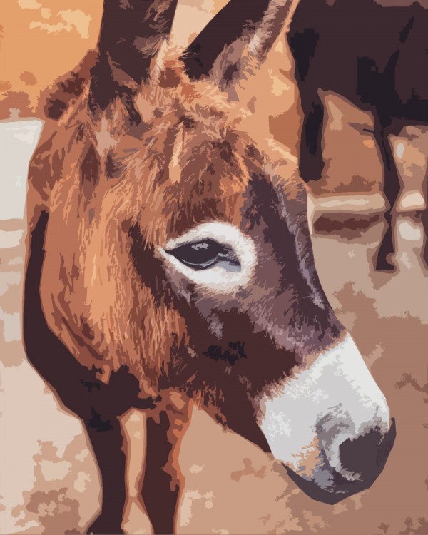 Donkey poster style  Print