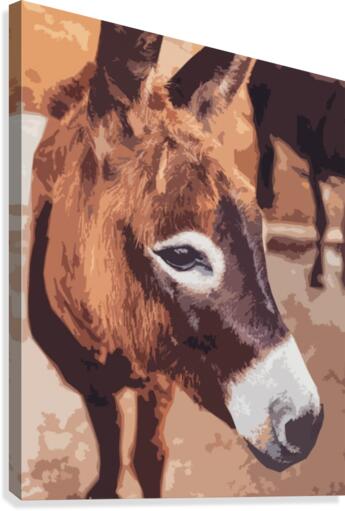 Donkey poster style  Canvas Print