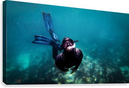 freedive Canvas Print
