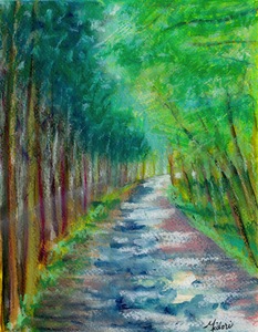 Path through the Woods