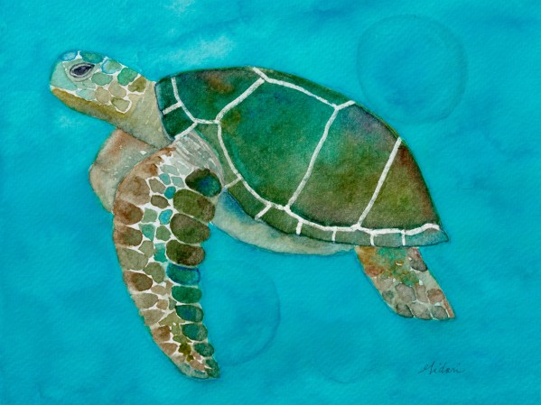 Sea Turtle Print
