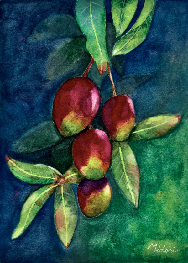 Mango Tree Print