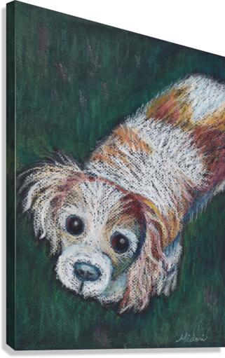 Cavalier Spaniel Canvas Print