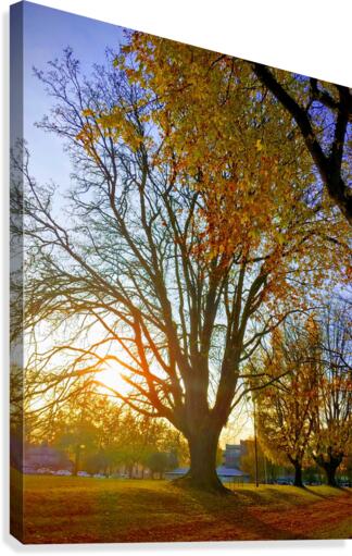 AUTUMN SUNSET Canvas Print