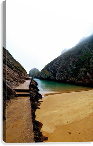 BERLENGAS Canvas Print