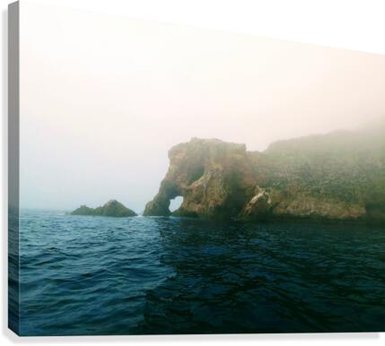 ELEPHANT ROCK Canvas Print