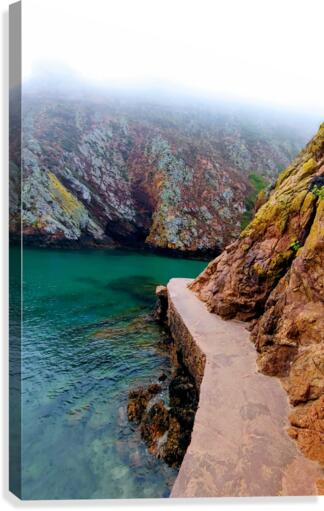 SEASIDE PATH Canvas Print
