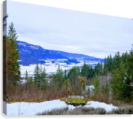 MOUNTAIN SIDE Canvas Print