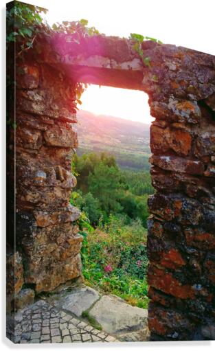 STONE ARCHWAY Canvas Print