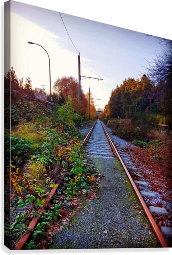 TRAIN TRACKS  Canvas Print
