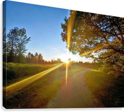 SUN LIGHT STREAK Canvas Print