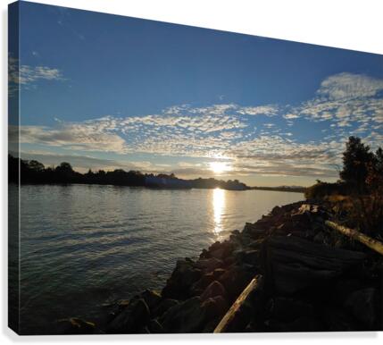 RIVER PARK Canvas Print