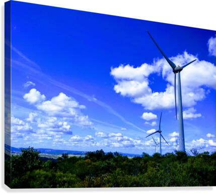 WINDMILLS Canvas Print