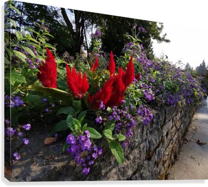 FLOWER GARDEN Canvas Print