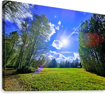 BLUE SKY SUNSHINE Canvas Print