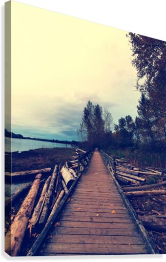 RIVERS PATH Canvas Print