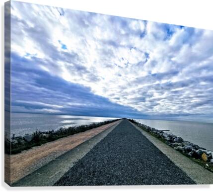 OCEAN WALK Canvas Print