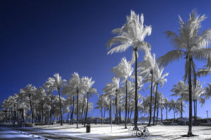 Ocean Drive South Beach 