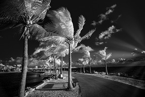 Matheson Hammock Park Miami Florida