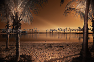 Vivid Dawn
