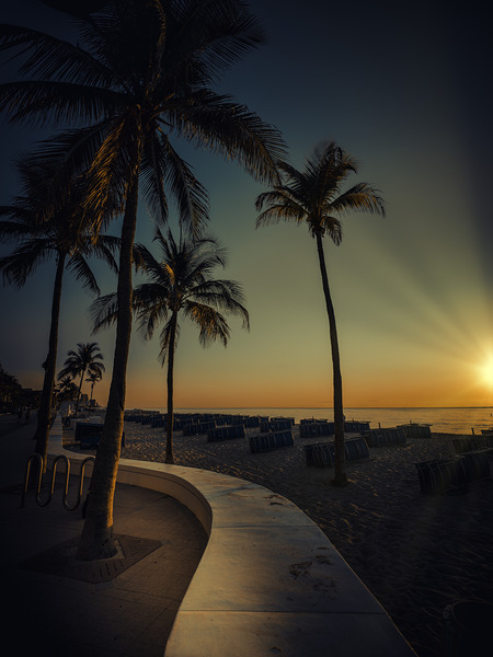 Sunlit Serenade on Serene Shores Print