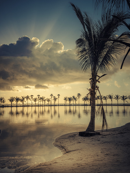 Celestial Rays over Tropical Tranquility Print