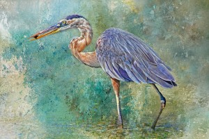 Fishing With Big Blue