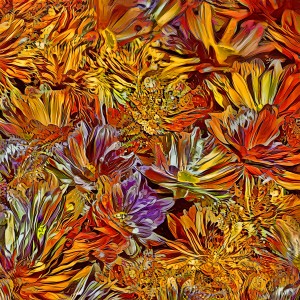 Autumn Chrysanthemums