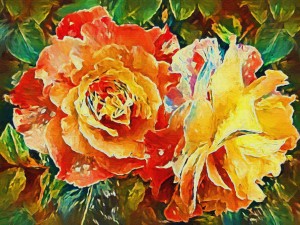 Two Garden Roses 