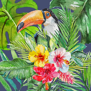 Hibiscus Toucan